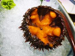 -千代御(工农大路店)