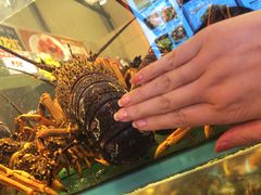 -万龙洲海鲜(广渠门店)
