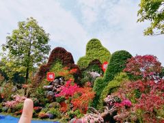 -琴亭湖公园