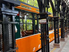 -合肥滨湖国家森林公园