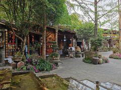 -青城甲(青城山店)