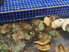 -丰卓会海鲜自助(中润大道店)