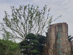 -昆山城市生态森林公园