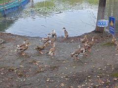 -白塘生态植物园