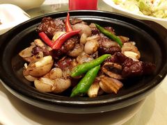 -骏莱海鲜鱼港(五角场店)
