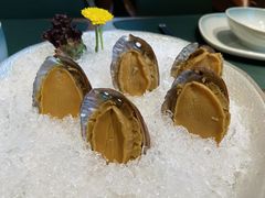 手工冰镇鲍鱼-木棉·醉心粤味(COCO Park店)