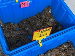 -葑门横街