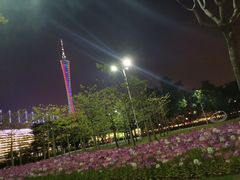 -珠江夜游广州塔·中大码头