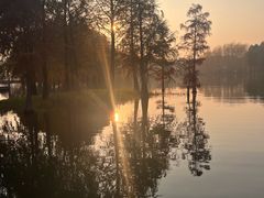 -贡湖湾湿地公园
