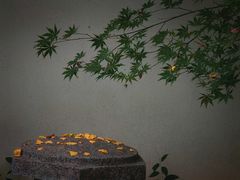 -郑和公园