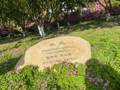 -玄武湖景区-情侣园游乐场