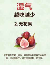 -Fundi张玉珊修身堂·indiba·BTL科技瘦身