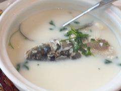 -紫藤园·天目湖大鱼头(南山竹海店)