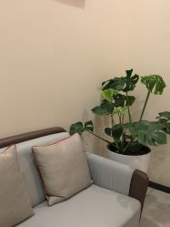 -北京米扬丽格医疗美容·联合丽格鼻整形中心