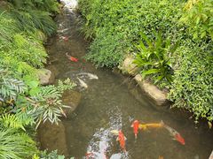 -中国茶叶博物馆(双峰馆区)