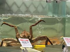 -水禾轩·海鲜蒸汽主题餐厅(拱北店)