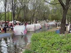 -长白岛森林公园