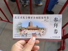 -八大处公园