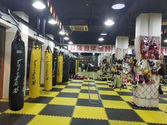 场馆-成泰格斗(环球商业广场店)