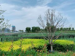 -郑东新区龙湖公共艺术中心