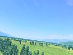 -新疆那拉提国家旅游度假区