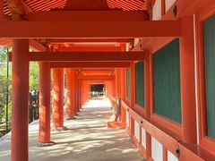 -奈良公园