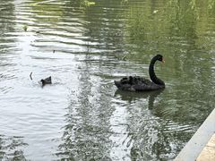 -翠湖公园