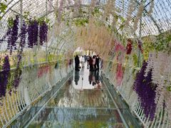 -汕尾铜鼎山旅游区