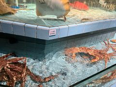 -荣小馆(杭州大厦店)