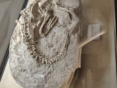 -辽宁古生物博物馆