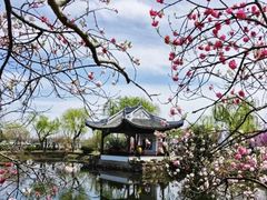 -无锡蠡湖国家湿地公园-蠡园