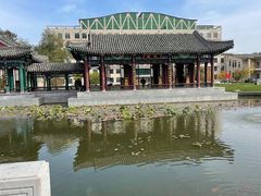 -东北农业大学