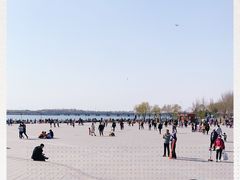 -丁香湖公园