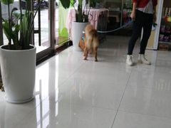 -瑞鹏宠物医院·骨科·猫科·内科(第一中心)