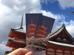 -有栖山 清光院 清水寺