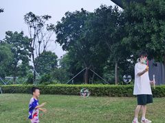 -宝安西湾红树林湿地公园