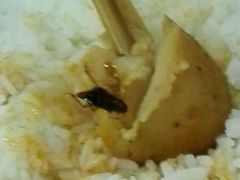 -天一沾水肥肠(科园一街店)