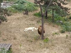 -石家庄市动物园