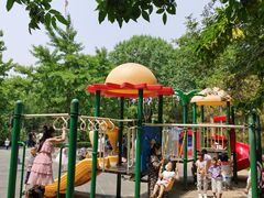 -大兴滨河森林公园