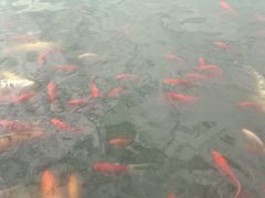 -月牙潭公园
