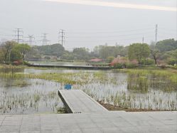 -雅馨国际月子中心