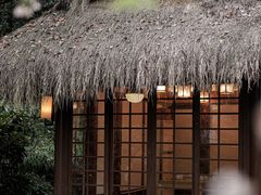 -中国茶叶博物馆(双峰馆区)