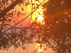 -宝安西湾红树林湿地公园