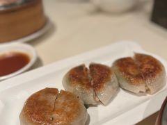 -金燕岛潮州酒楼