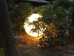 -厦门日月谷温泉渡假村