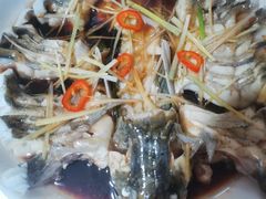 -煲来饱去冷水鱼