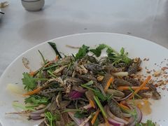 -芭厘农庄老字号·清远鸡