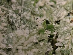 -外婆船宴餐厅·外婆喊你回家吃饭