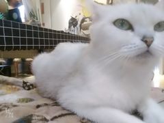 -万小咖.猫咖(中山路天虹店)