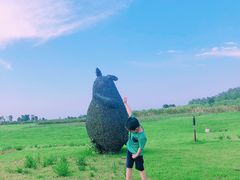 -洪湖湿地生态园